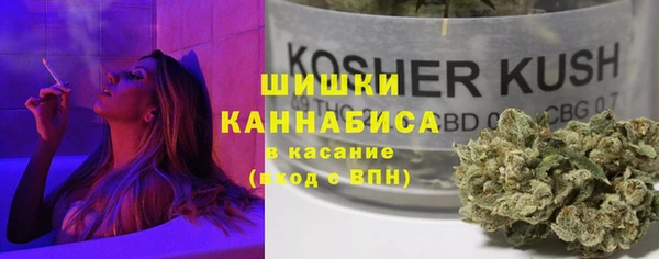 PSILOCYBIN Заволжск