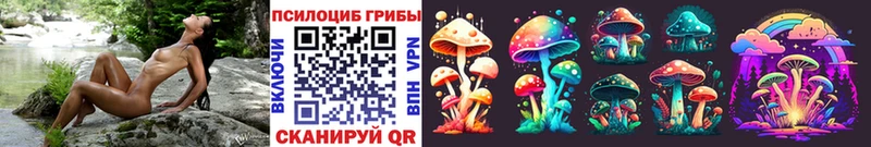 Псилоцибиновые грибы Psilocybe  Сафоново 